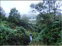 SCO_VAL_090803_0049