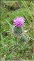 SCO_CT_090804_0096