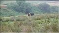 SCO_CT_090804_0097