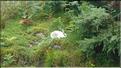 SCO_CT_090804_0099