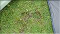 SCO_CT_090804_0101