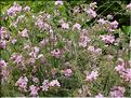 SCO_VAL_090804_0082