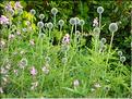 SCO_VAL_090804_0084