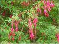 SCO_VAL_090804_0085
