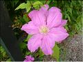 SCO_VAL_090804_0087