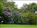 SCO_VAL_090804_0088