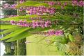 SCO_CT_090804_0141