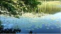 SCO_CT_090805_0173