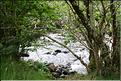 SCO_DV_090809_0399