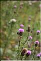 SCO_DV_090809_0401