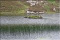 SCO_DV_090809_0420