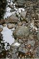 SCO_DV_090811_0665