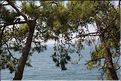 TUR_S159