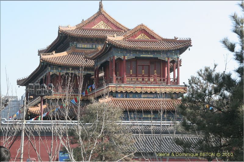 ph_20110203_1165