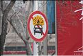 ph_20110203_5087