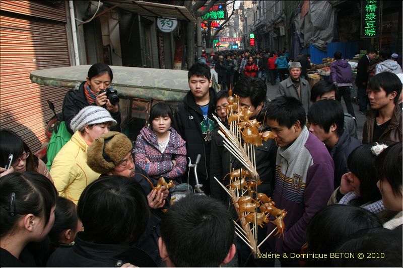 ph_20110204_1276