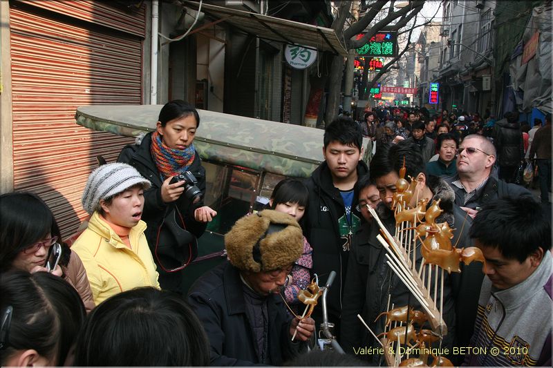 ph_20110204_1277