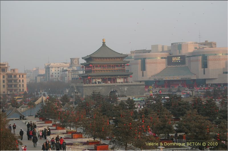 ph_20110204_1375