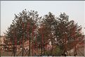 ph_20110204_1376