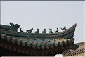 ph_20110204_5181