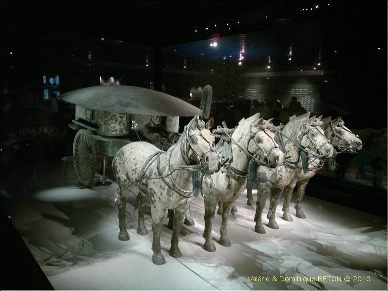 ph_20110204_7023