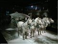 ph_20110204_7023