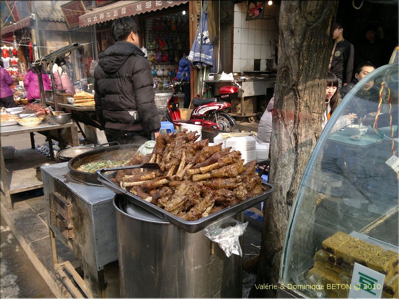ph_20110204_7037
