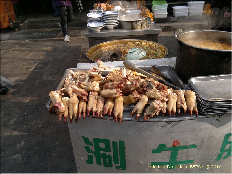 ph_20110204_7042