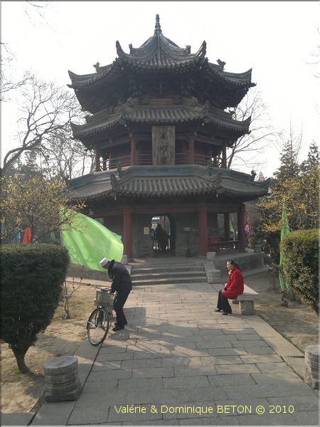 ph_20110204_7084