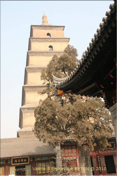 ph_20110205_1523