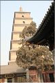 ph_20110205_1523