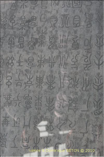 ph_20110205_1598