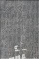 ph_20110205_1598