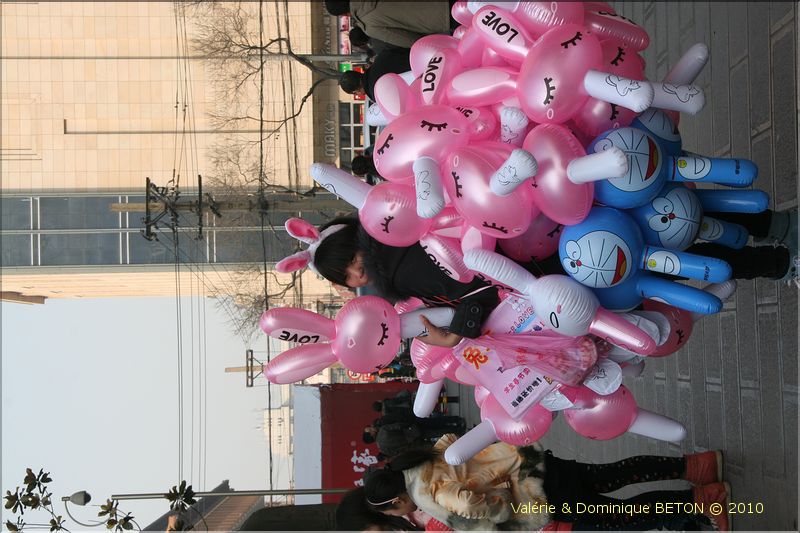 ph_20110205_1624