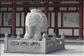 ph_20110205_5229