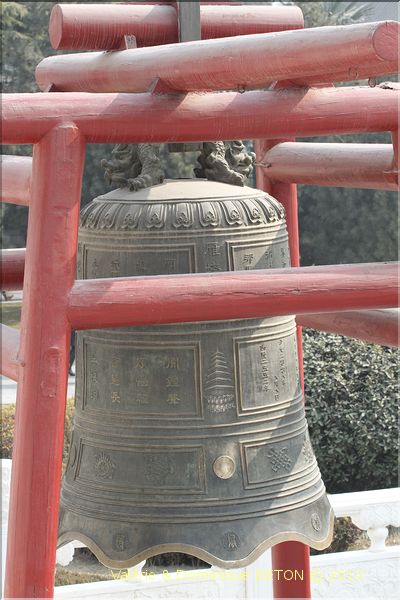 ph_20110205_5235