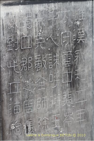 ph_20110205_5280