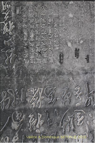 ph_20110205_5291