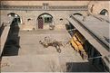ph_20110206_1769
