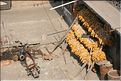 ph_20110206_1770