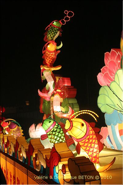 ph_20110206_1960