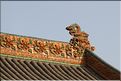 ph_20110206_5318
