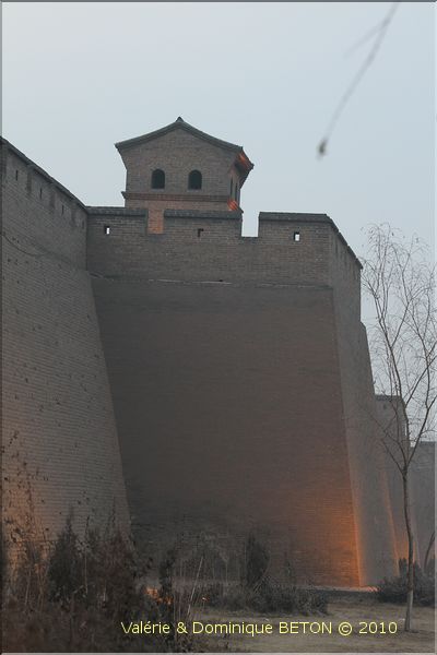 ph_20110206_5364