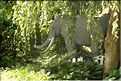 Scanselection_0000004
