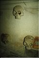 Scanselection_0000029